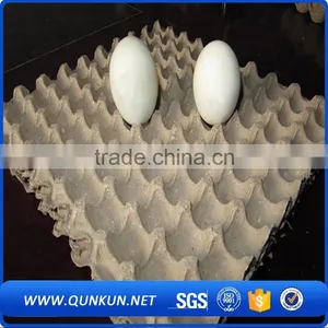 Wholesale Price Eggs Packaging thumbnail-5