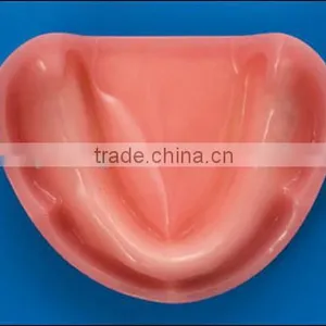 Model Implant Mandible for Practicing Implant thumbnail-2