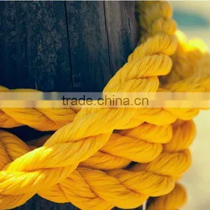 PP Rope,Poly Rope,PP Danline Rope,Silver Rope thumbnail-1