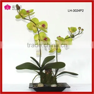 Lifelike Orchids Wedding Wholesale Potted Flower For Sale thumbnail-1