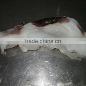 Giant Frozen Squid Neck thumbnail-1