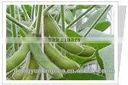 Soybean P.E Extarct Powder thumbnail-1