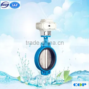 ANSI Flange WCB/LCB/CF8M Ajustable Motorized Butterfly Valve thumbnail-1