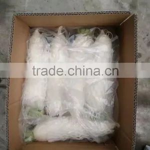 Fresh White Radish thumbnail-3