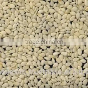 Hulled Sesame Seeds 99.97 thumbnail-1