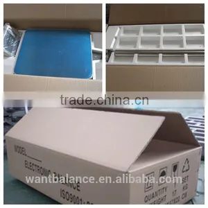 300kg Scale Model thumbnail-6