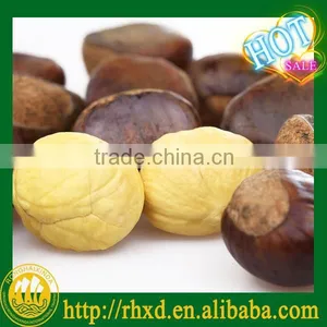 Raw Fresh Good Chestnuts Packed and Exported to Turkey thumbnail-1