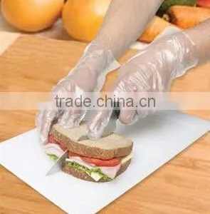 PE Gloves thumbnail-1