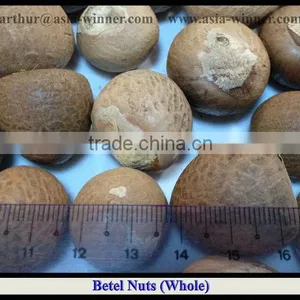 Betel Nuts Whole thumbnail-1