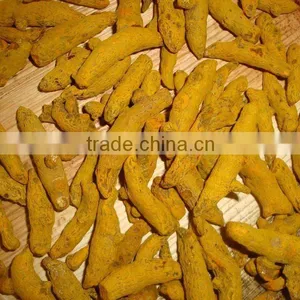 Sell Good Quality Organic Erode Dried Turmeric Finger thumbnail-5
