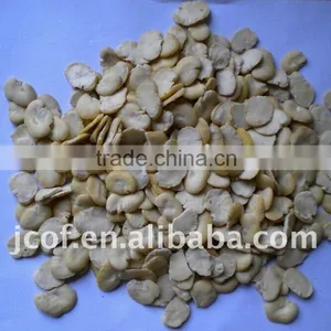 SPLIT BROAD BEANS (656) thumbnail-1