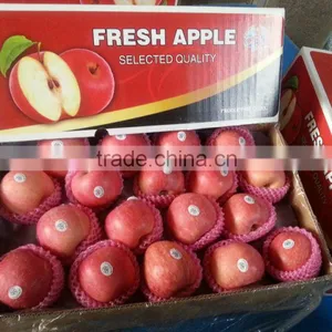 Fresh Fuji Apple thumbnail-1