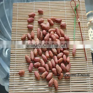 Peanut Kernel thumbnail-1