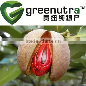 Nutmeg Extract thumbnail-1