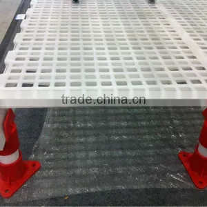 Plastic Chicken Floor thumbnail-1