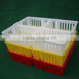 Plastic Circulating Stackable Transport Poultry Cage/Box/Crats for Child Chicken thumbnail-4