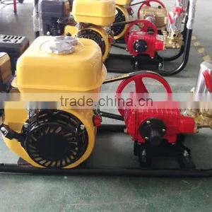 Kerosene Power Sprayer Diesel Power Sprayer thumbnail-5