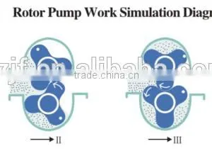 Rotary Lobe Pump/rotor Pump thumbnail-5