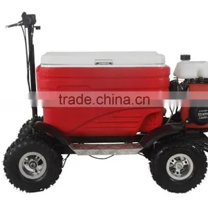 2015 Best Gift Gas Cooler Scooter 43CC SX-G110 From China thumbnail-2