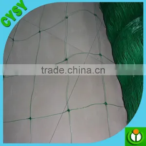 Mist Net Nylon Bird Capture Netting/structural Bird Netting/preminum Bird Netting thumbnail-2