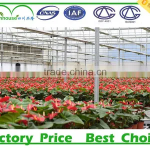 Multi Span Glass Agricultural Greenhouse thumbnail-4