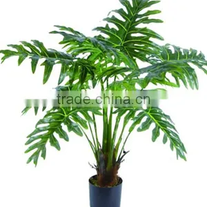 Indoor Home Garden Decorative 100cm to 300cm Height Make Artificial Green Philodendr Live Bonsai Tree EXLYPZ06 0503 thumbnail-2