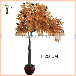 Big Manufactured Chinese Chestnut Fruits Tree Export thumbnail-1