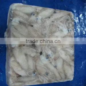 Hot Sale Whole Round Frozen Baby Squid thumbnail-2