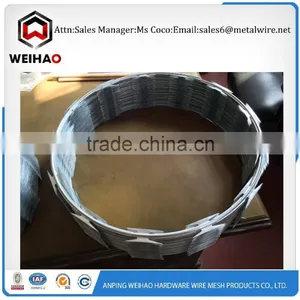 Providing Best Price and Good Quality Razor Barbed Wire/razor Wire thumbnail-1