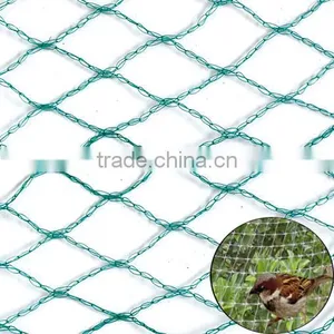 Virgin HDPE Material Larger Fruit Tree Use Complete Overhead Anti Bird Netting With UV Protection thumbnail-2