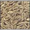 Sell Fennel Seeds, Hibiscus (Egypt) thumbnail-1