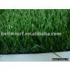 Low Cost Landscaping Grass thumbnail-1