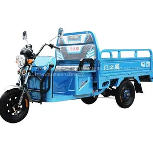Tricycle thumbnail-2