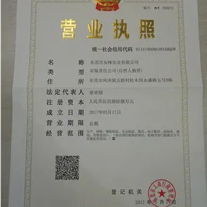 Dongguan Youfeng Industrial Co.,Ltd. company overview - view 1 thumbnail