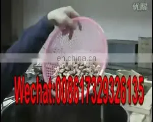 Small Garlic Peeling Machine Garlic Peeler Machine thumbnail-1