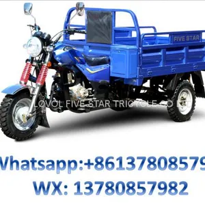 Gasoline Tricycle Cargo Loader Lovol Three Wheeler Mali Ethiopia Ghana Bukina Faso Tanzania Kenya Senegal Togo Benin Nigeira Mauritania Angola Burundi Chad Cameroon C ô te D'Ivoire Gabon Guinea Mozambique Rwanda Congo Uganda Zimbabwe thumbnail-1