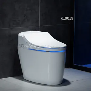 Smart Toilet K19019 Simple Model Semi Intelligent Toilet thumbnail-1