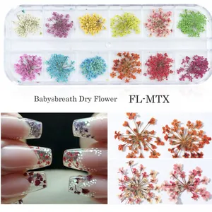 Babysbreath Dry Flower For Nail Decorations Dried Flowers Nail thumbnail-1