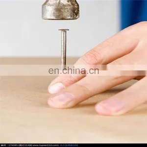Common Steel Wire Nail From China Factory thumbnail-3