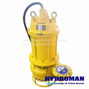 Hydroman™ Electric Submersible Sand Pump thumbnail-1