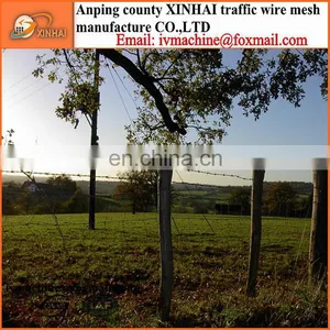 Barbed Wire thumbnail-5