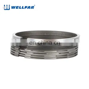 Wellfar PEUGEOT 206 Engine Parts Rings Piston 75mm For PEUGEOT 206 Engine thumbnail-2