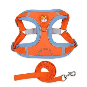 Pet Harness Small Dog With Leash Set thumbnail-3