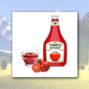 High Quality Organic High Concentrated Fresh Ketchup Sauce Sweet Sour Taste 12 Months Shelf Life Wholesale Bulk Supply Tomato thumbnail-4