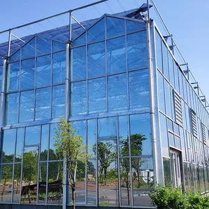 5mm Wired Safety Glass Panels for Storm-Resistant Greenhouse Construction thumbnail-3