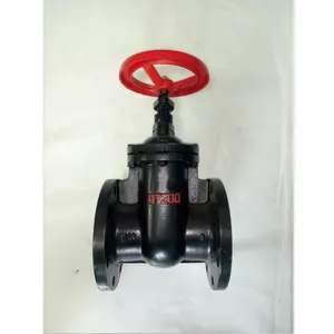BS DN100 DN150 PN16 Gray Cast Iron HT200 Ductile Iron Flange Gate Valve thumbnail-2