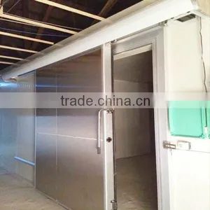 Vegetable Cold Room Sliding Doors for Sale thumbnail-4