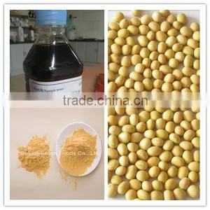 Hydrolyzed Vegetable Soy Protein Powder thumbnail-1