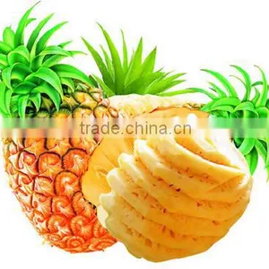 New Condition and Peeler Type Pineapple Papaya Peeling Machine Equipment thumbnail-2
