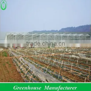 High Quality 10mm Polycarbonate Greenhouse thumbnail-1